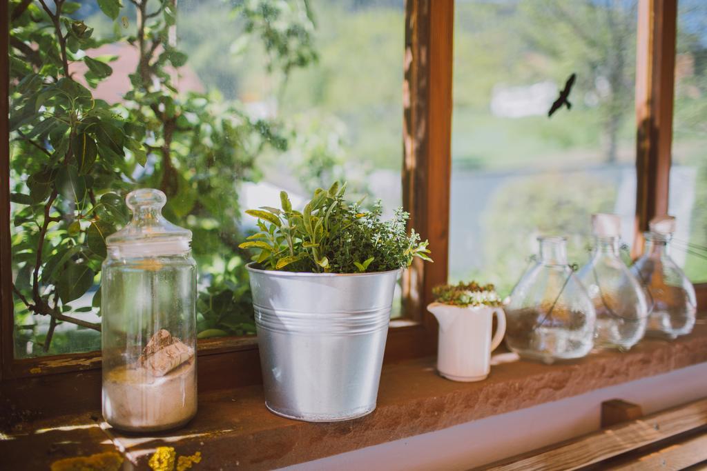 Dreimaderlhaus - Das Vegetarische Boutique Hotel Füssen Dış mekan fotoğraf